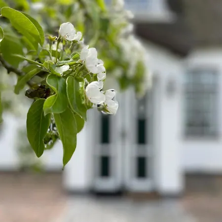 Lejlighed Tons 4 Tinje Kejtum