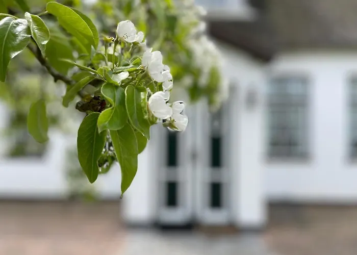 Appartamento Tons 4 Tinje Keitum